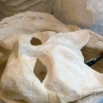 Papier mâché